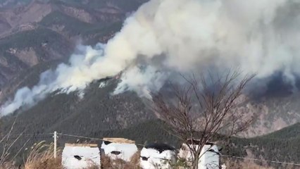 대구 군위군 야산에서 불...산불대응 1단계 발령 / YTN
