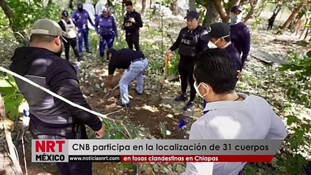 CNB participa en la localización de 31 cuerpos en fosas clandestinas en Chiapas