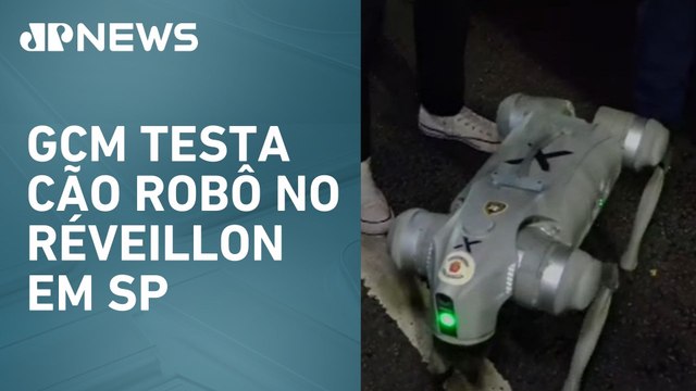 Mais de 1,1 mil PMs reforçam segurança no Show da Virada da Avenida Paulista