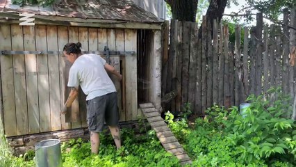 Comment fabriquer une couveuse pour poussins: On te dévoile les dessous d’un poulailler DIY