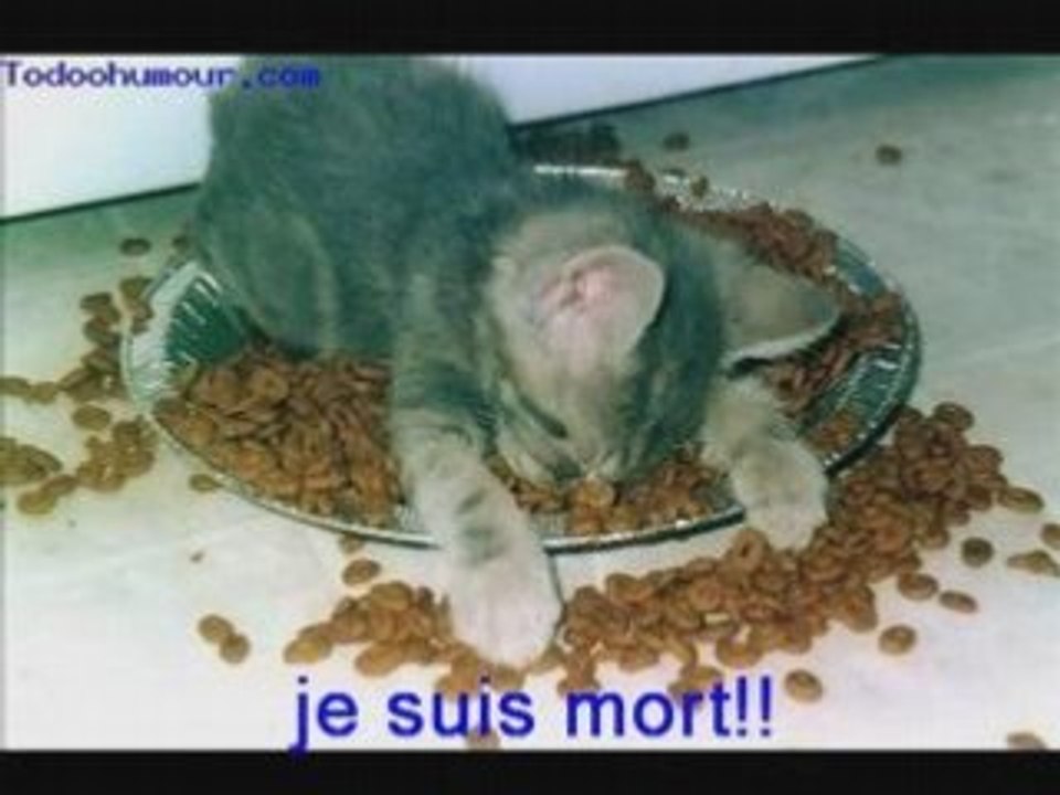 drole!!