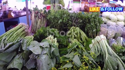 Rahasia Meningkatkan Sistem Imun Tubuh Secara Alami