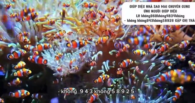 DỊCH VỤ NUÔI BỆNH BIÊN HÒA UY TÍN CHUYÊN NGHIỆP GỌI LÀ CÓ NGƯỜI