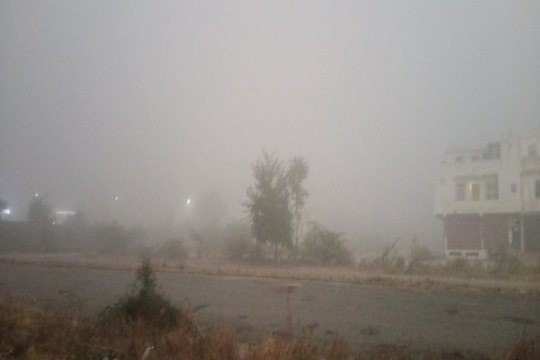 Rajasthan Weather : कड़ाके की सर्दी से धूजा जयपुर, आज भी छाया घना कोहरा