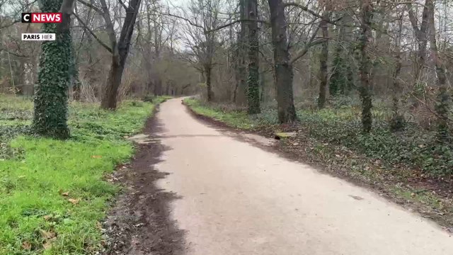 Le bois de Vincennes victime de dépôts sauvages