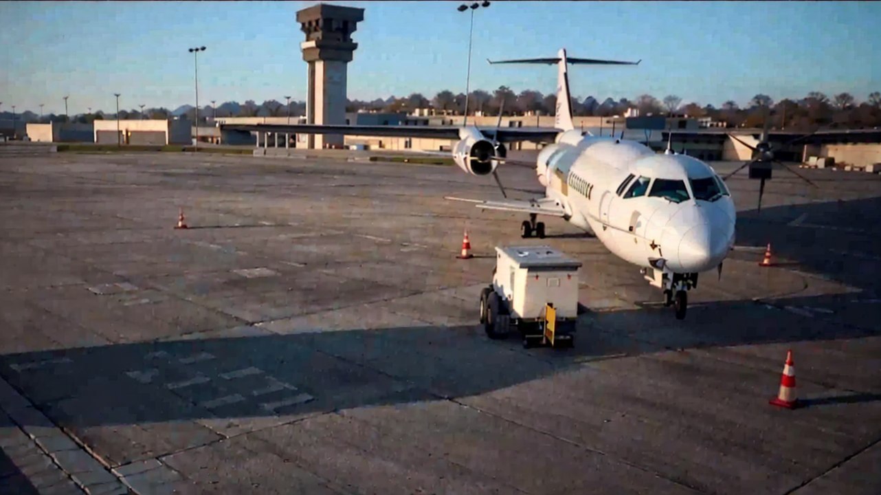 Comment les aéroports luttent-ils contre les oiseaux sur les pistes ?