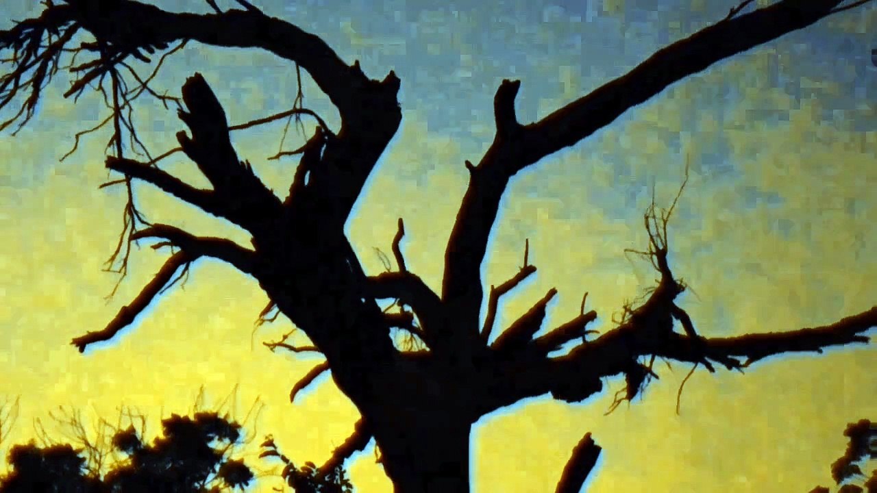 video_20250101_112058_edit