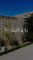 تلاوة عطره من الذكر الحكيم##👍👍