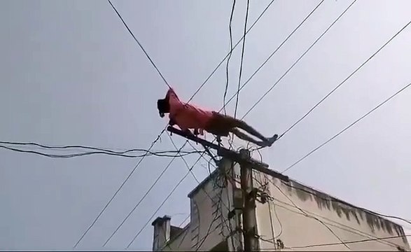 Drunk Man Climbs Electric Pole, Performs Stunts on Live Wires in Andhra Pradesh In a bizarre incident in M. Singipuram, Palakonda Mandal, Andhra Pradesh, a drunken man stunned villagers by climbing an electric pole and performing stunts on live wires. T