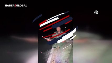 Sinop'ta balıkçıların ağına takıldı, hemen denize geri bırakıldı