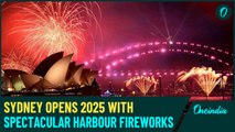 Sydney kicked off 2025 with stunning fireworks over the Harbour Bridge and Opera House