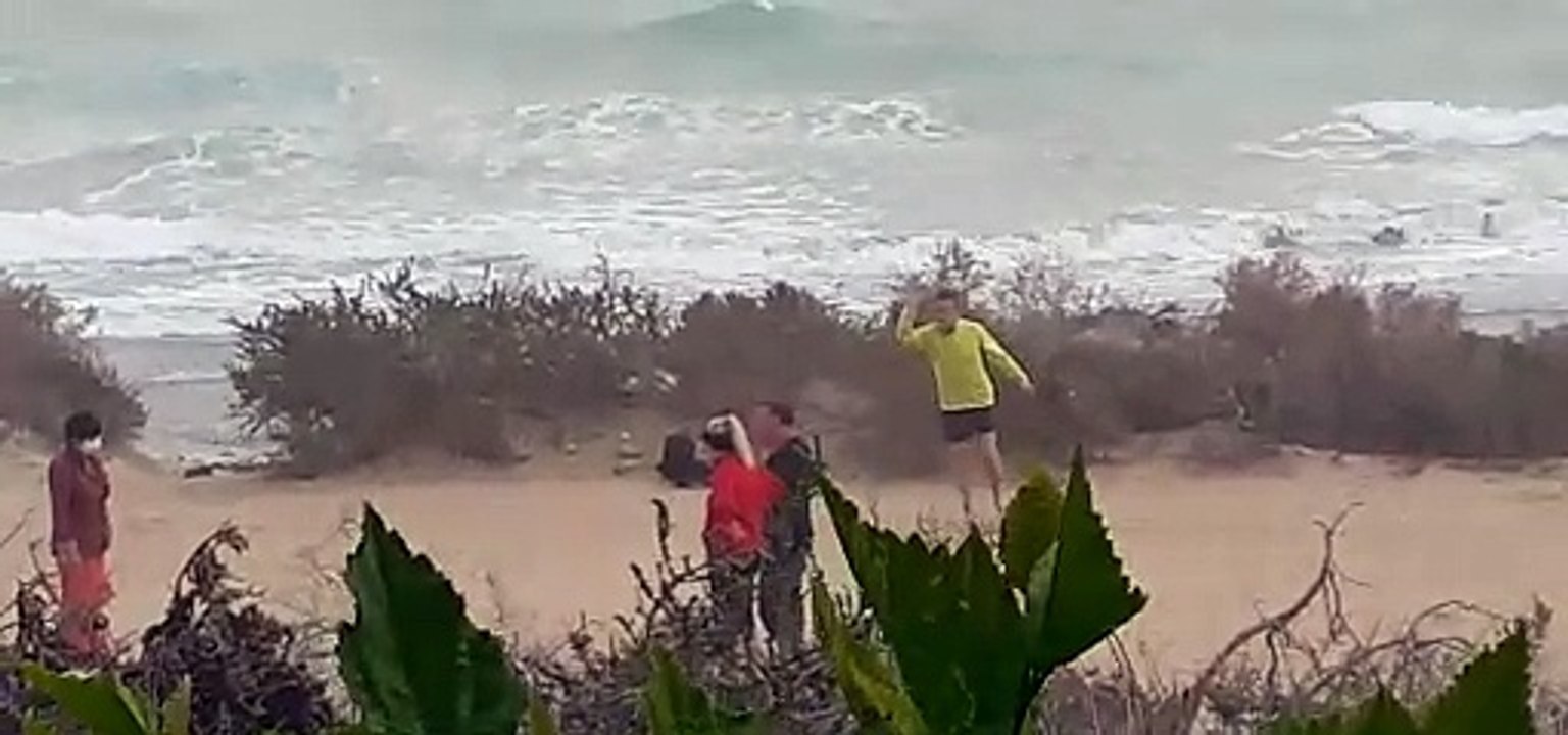 Hamsterwellen Costa Calma 12/24 Calima Fuerteventura