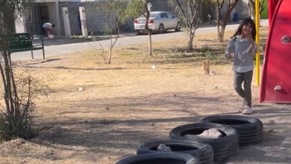 Oops moment: Boy runs to protect kids but misses the right path and falls