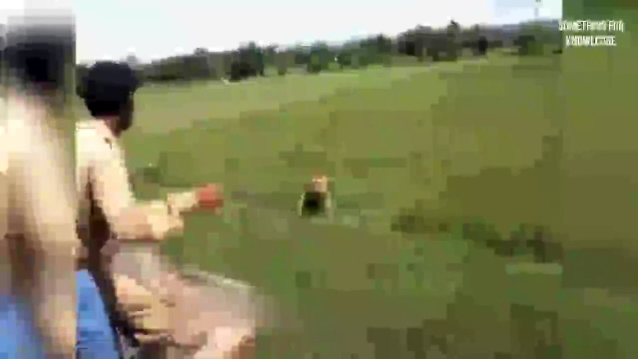 Animal attack on humans part 5