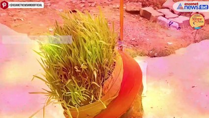 Mahakumbh 2025 में पहुंचे 'अनाज वाले बाबा', अनूठे हठयोग के पीछे है बड़ा कारण