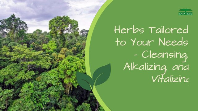 Discover Raintree: Amazon Rainforest Herbal Products for Health & Wellness 🌿