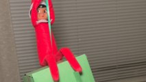 Mischievous elf hangs from balloon string and creates Christmas chaos