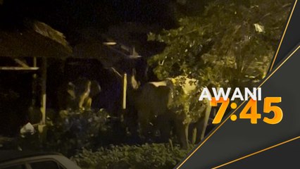 Bukan sahaja bimbang air naik, penduduk diancam gajah