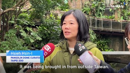 Taipei Zoo Welcomes Five New Bush Babies