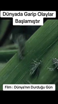 Dünyanın Durduğu Gün Filmi izle