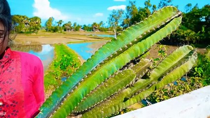 Prank-Tastic! Funniest Reactions You’ll Love! 😂✨ #PrankTastic #LOLReactions