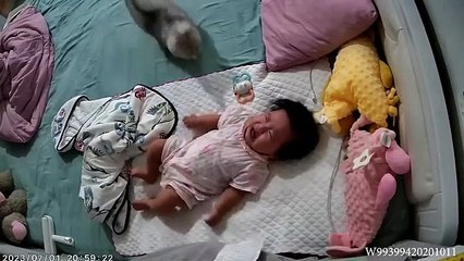 When Your Cat Become a Little Guard 💕