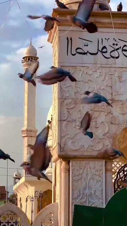 Islamic Aesthetic Videos - Masjid Videos - Islamic Call to prayer - Peaceful call to prayer