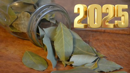 Laurel y los lugares en donde debes ponerlo para tener prosperidad en 2025