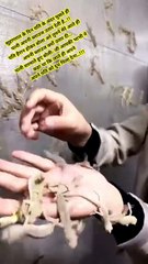 क्या तरीका है यार 😍 #shorts #funny #comedy #ytshorts #viral