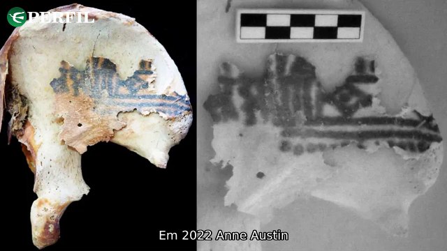 Segredos Antigos Revelados: Tatuagens Egípcias, Ötzi e Coco Chanel - Conheça as descobertas fascinantes!