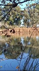 Rave de Nochevieja en Sevilla