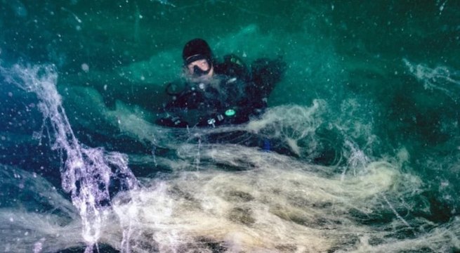 Marmara Denizi için korkutan açıklama: 7 hafta içinde yayıldı