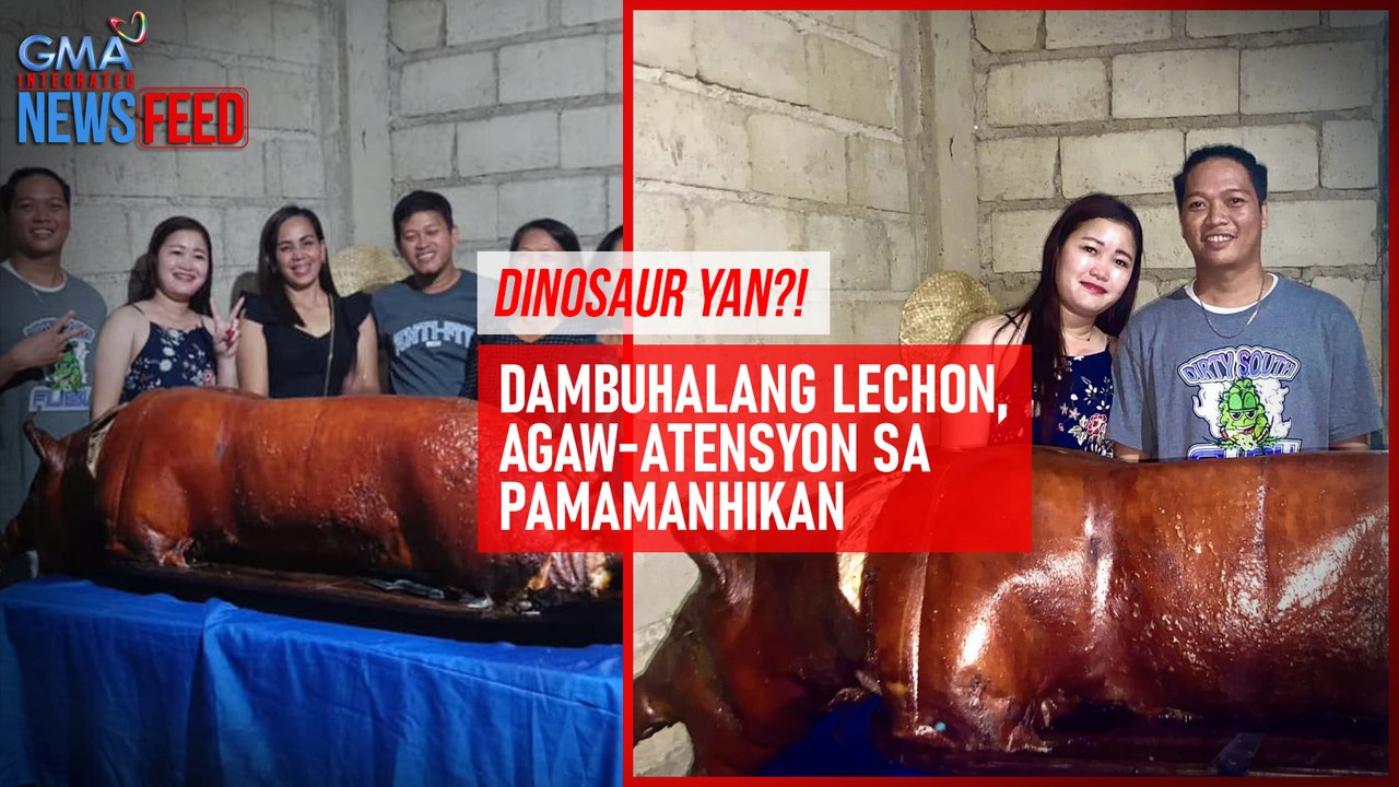 Dinosaur yan?! Dambuhalang lechon, agaw-atensyon sa pamamanhikan | GMA Integrated Newsfeed