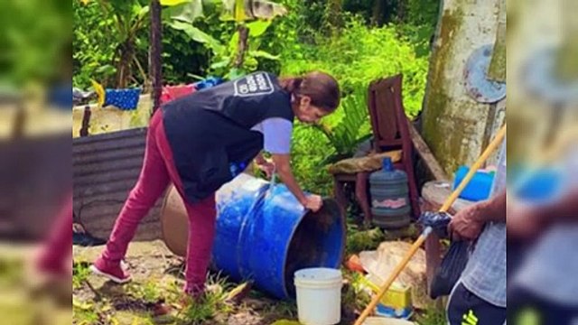 Casos confirmados de dengue se reducen 65.54 % respecto a 2023