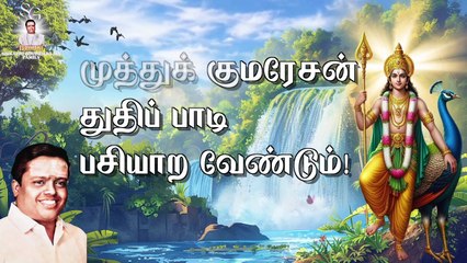 மயிலாக நான் மாறவேண்டும் | "Padmashri" Dr. Sirkazhi S. Govindarajan | Lyric Video