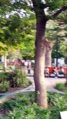 Plaza de Armas, Santiago: P2