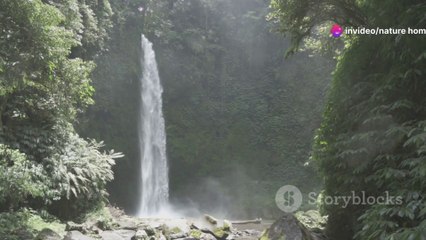 Descubra as Maravilhas da Indonésia-nature 4k