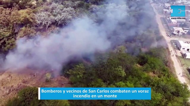 Vecinos y Bomberos combaten un voraz incendio desatado en un descampado de San Carlos
