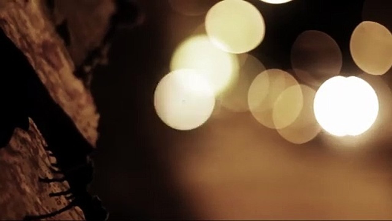 Alyce Kills (2011) - Bande annonce