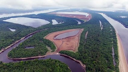 Amazônia Legal bateu recorde de incêndios em 17 anos