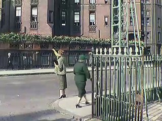 doctor in the house 1954 comedy film