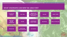 What disorders can mint be used for? #mint