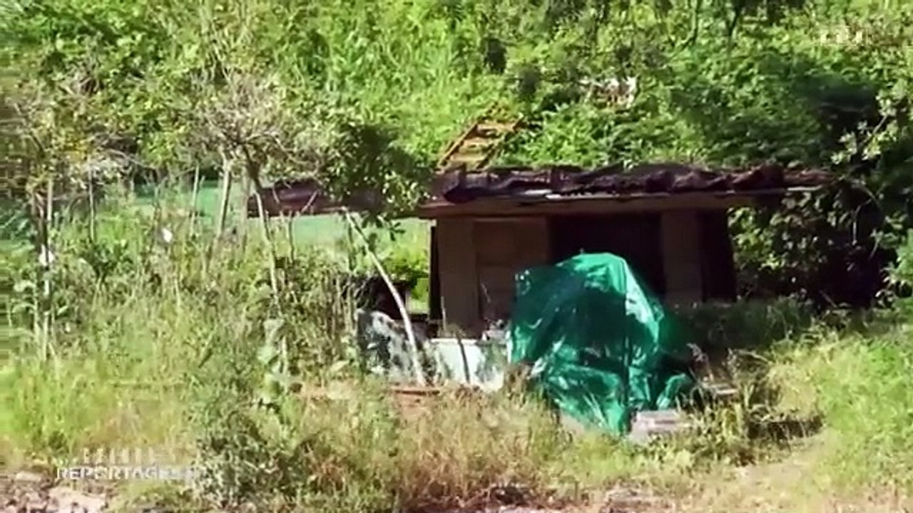 Grands Reportages - Voisins _ la guerre sans fin !