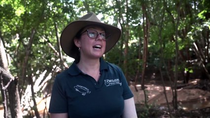 The workers racing to save an Australian icon in the suburbs