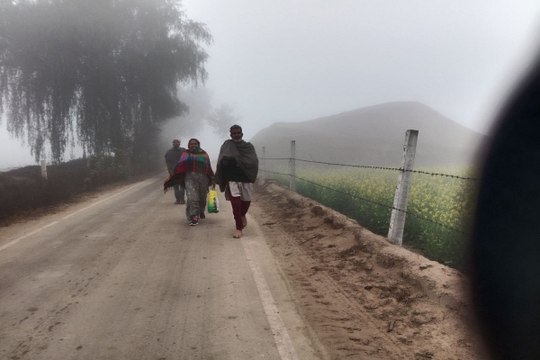 Rajasthan Weather : गुलाबी नगर में आज सवेरे धूप ​खिली, गलन ने ठिठुराया