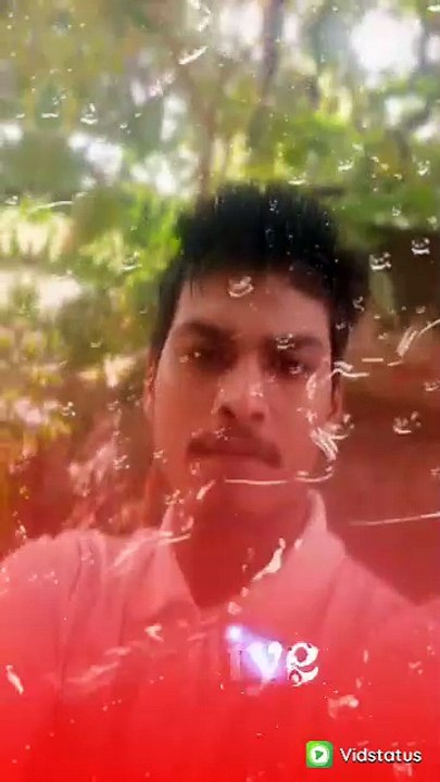 VidStatus_vvcvideo_1735449471629