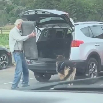 Las tiernas imágenes donde un señor mayor crea una rampa para que su perro anciano pueda subir al coche