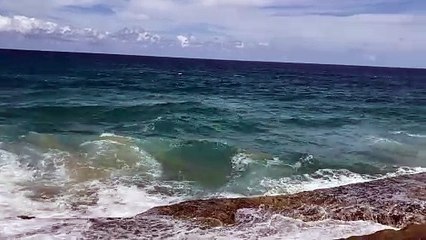 Port Macquarie Beach