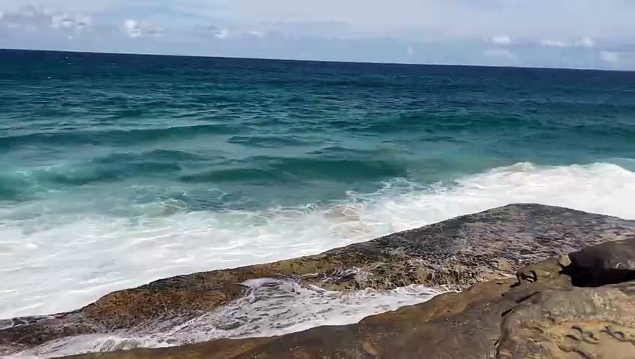 Curl Curl Beach