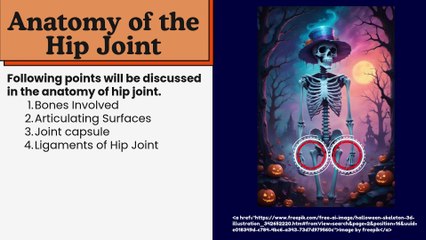 Anatomy of the Hip Joint: Comprehensive Overview